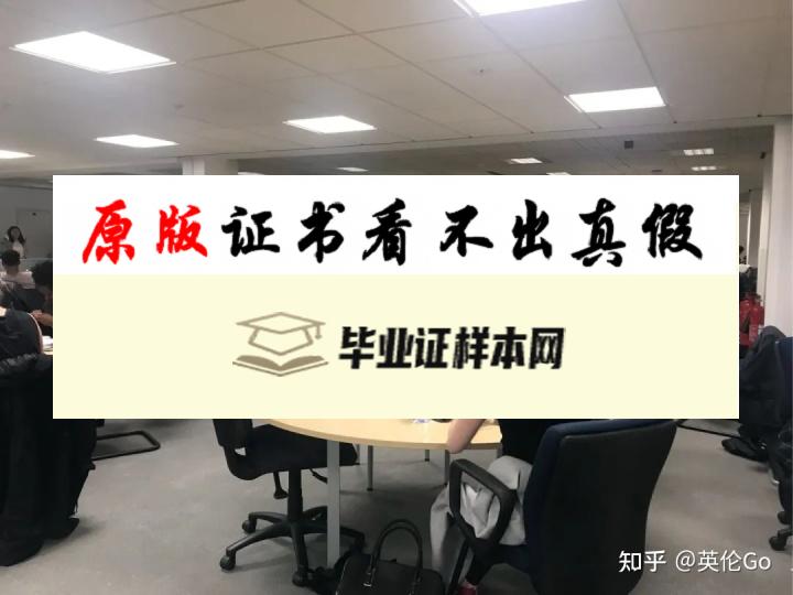 英国伦敦南安普顿大学毕业证书模板