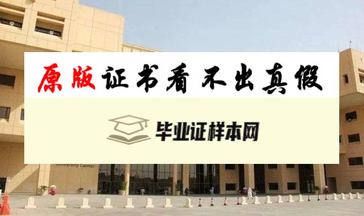 土耳其中东科技大学毕业证书模板