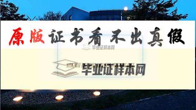 加拿大布魯克大學畢業證書模板