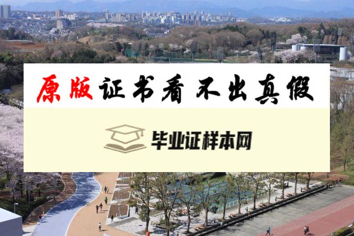 ​日本中央大学毕业证书模板