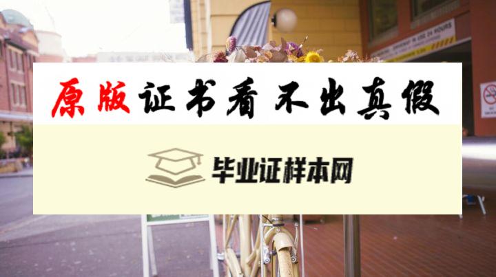 澳大利亚​悉尼科技大学成绩单样本