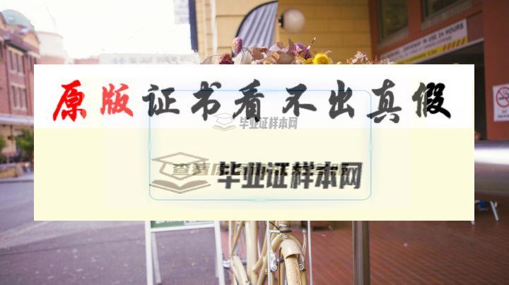 澳大利亞?悉尼科技大學成績單樣本
