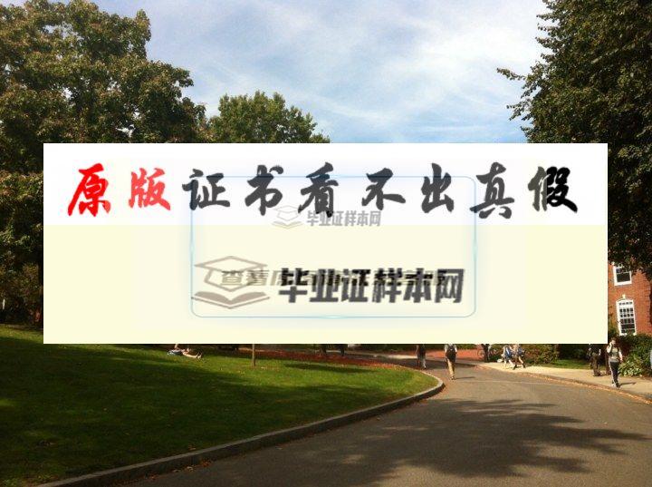 ?美國塔夫茨大學畢業證書模板