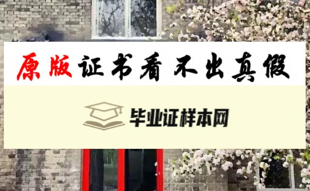 韩国中央大学成绩单样本