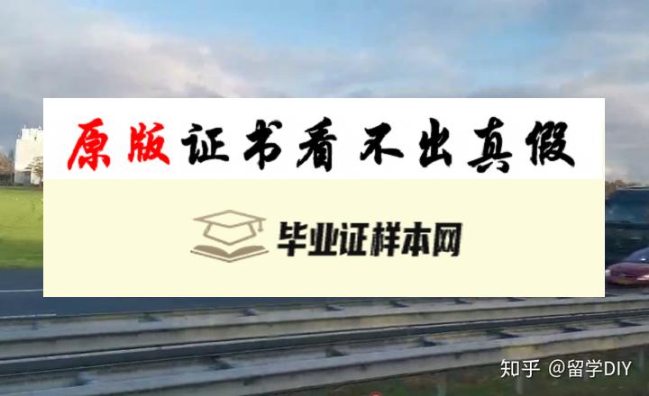 荷兰屯特大学毕业证书模板