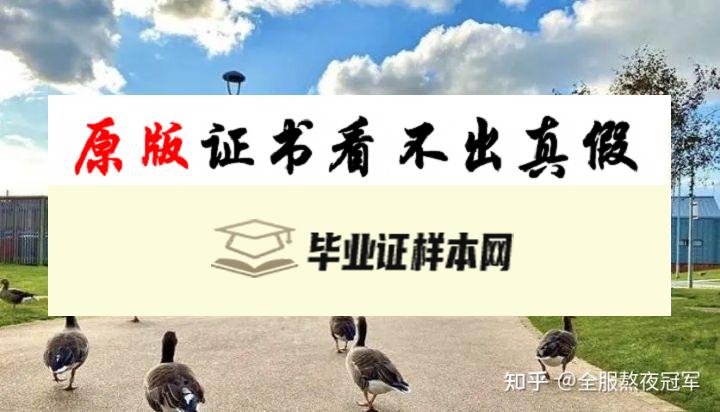 加拿大约克大学毕业证书模板