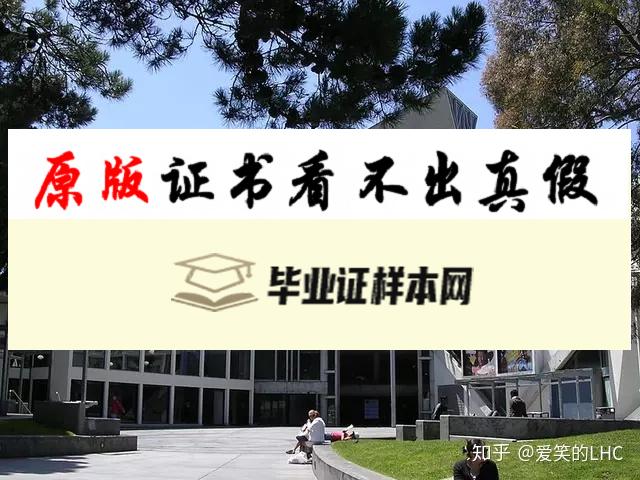 美国旧金山州立大学毕业证书模板  University of San Francisco