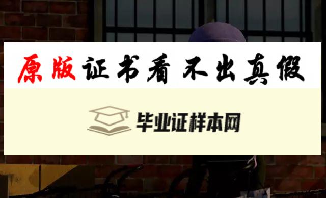 日本数字好莱坞大学毕业证书模板