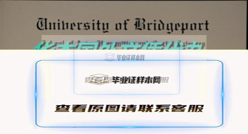 美国布里奇波特大学（桥港大学）文凭样本插图