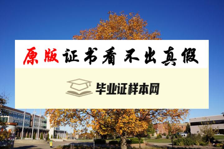 美国密歇根大学毕业证书模板