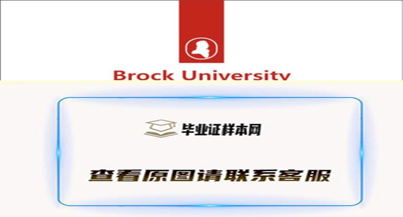 加拿大文凭样本-加拿大布鲁克大学毕业证