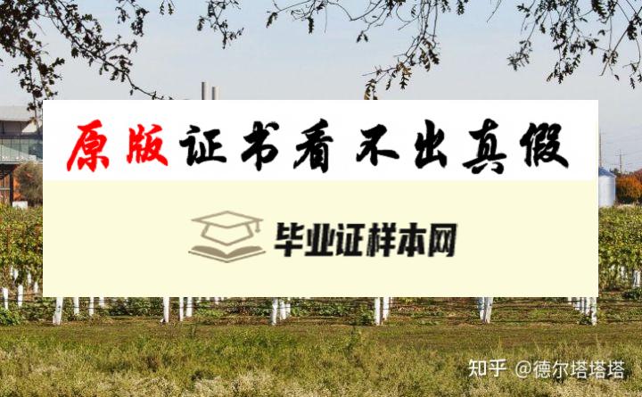 加利福尼亚大学戴维斯分校毕业证书模板