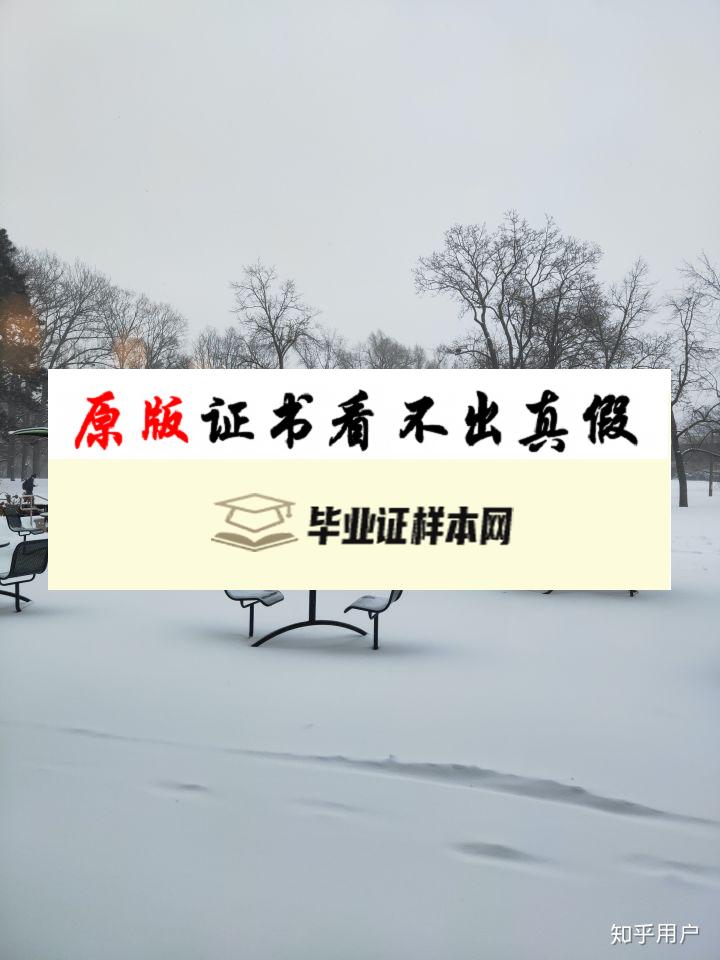 美国明尼苏达大学双城分校毕业证书模板