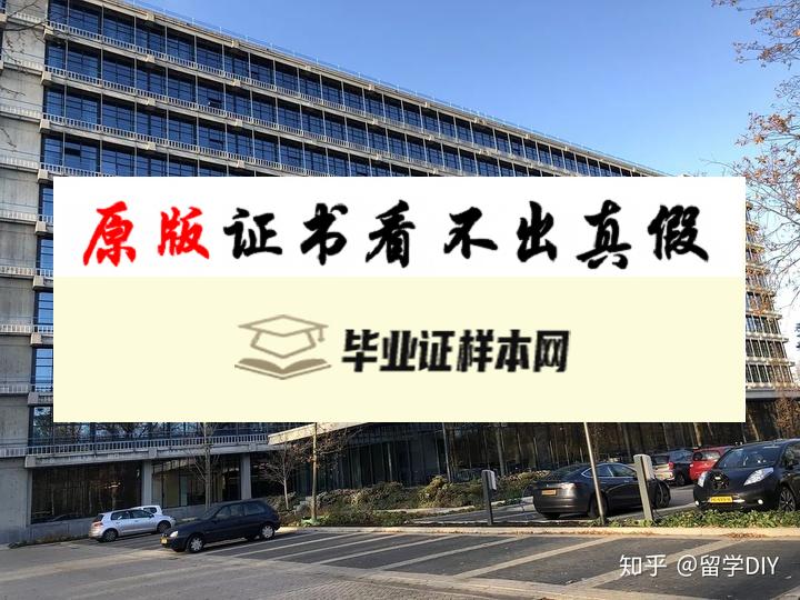 荷兰屯特大学毕业证书模板