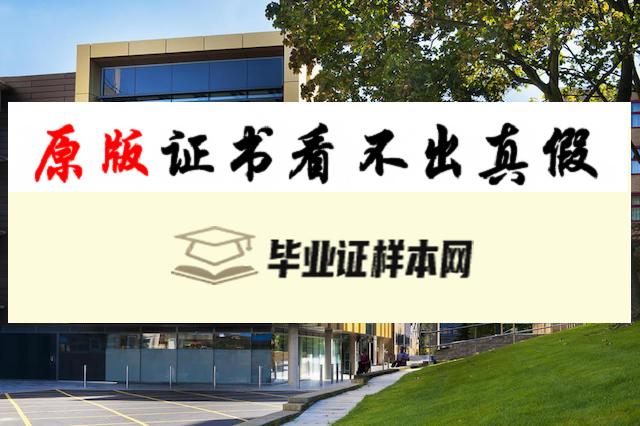 ​英国萨里大学毕业证书模板