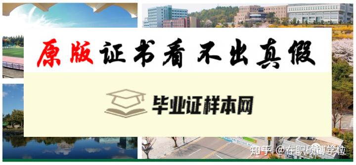 ​韩国全南大学毕业证书模板