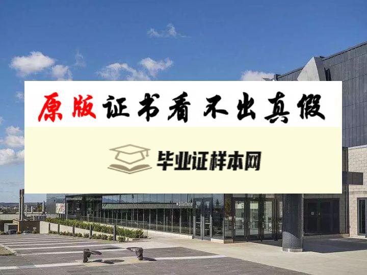 加拿大布洛克大学毕业证书模板