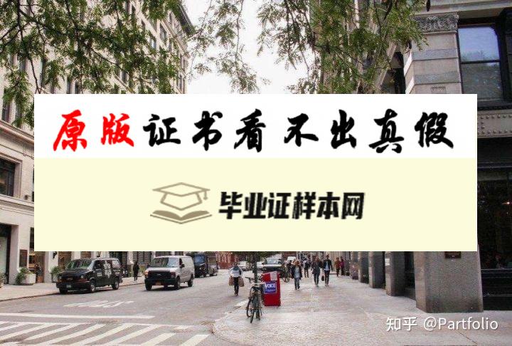 ​美国纽约大学毕业证书模板