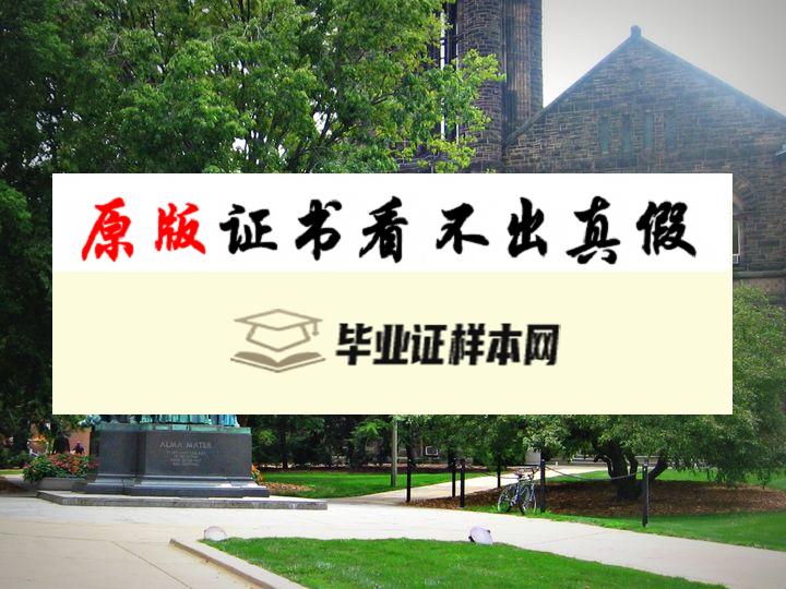 美国伊利诺伊大学毕业证书模板