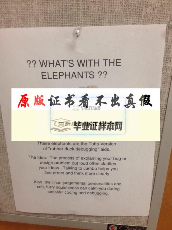 ?美國塔夫茨大學畢業證書模板