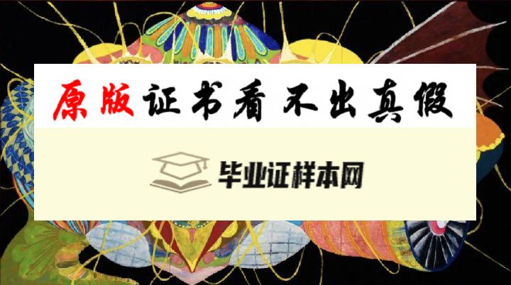 ​日本东京艺术大学毕业证书模板