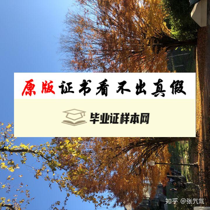 美国弗吉尼亚理工大学毕业证书模板