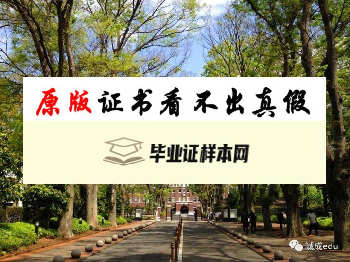 日本成蹊大学毕业证书模板