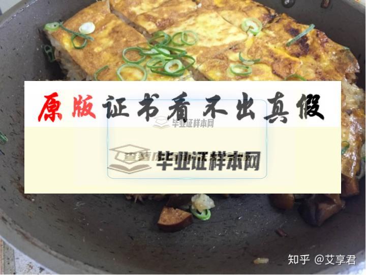 日本?京都大學畢業證書模板