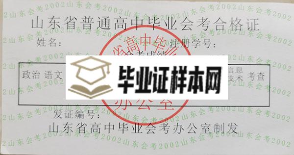 山东省2004年高中毕业证成绩单