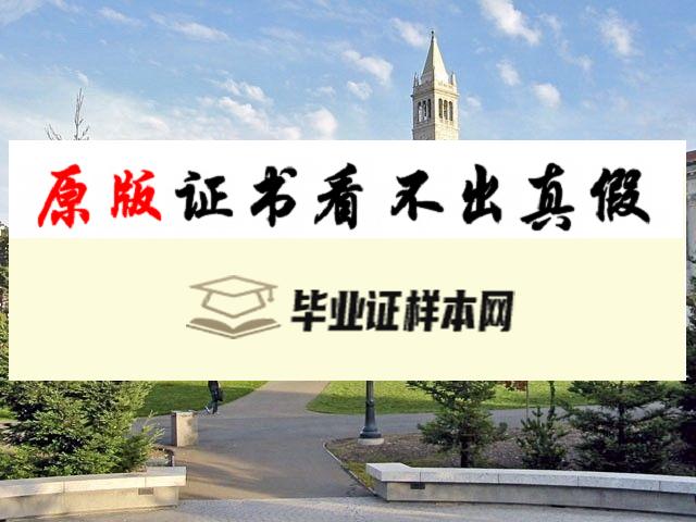 美国​加州大学洛杉矶分校毕业证书模板