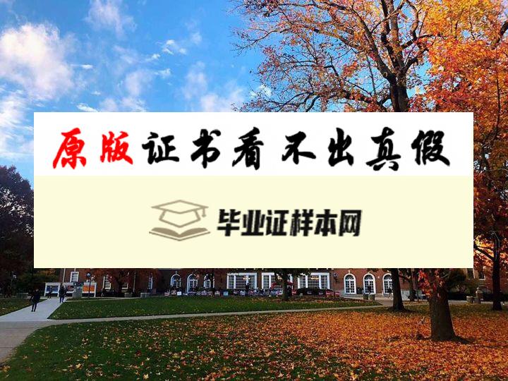 美国伊利诺伊大学毕业证书模板