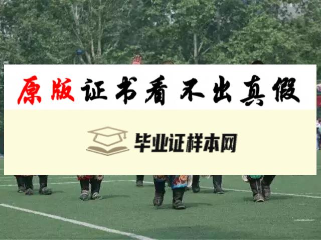 韩国中央大学成绩单样本