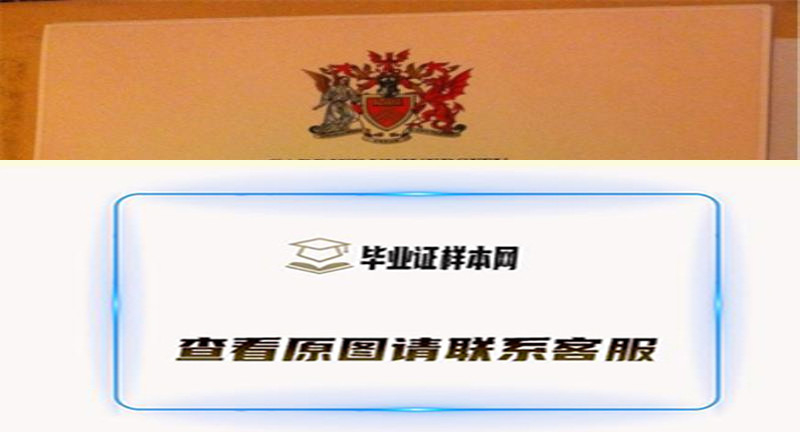 英国卡迪夫城市大学毕业证书样本