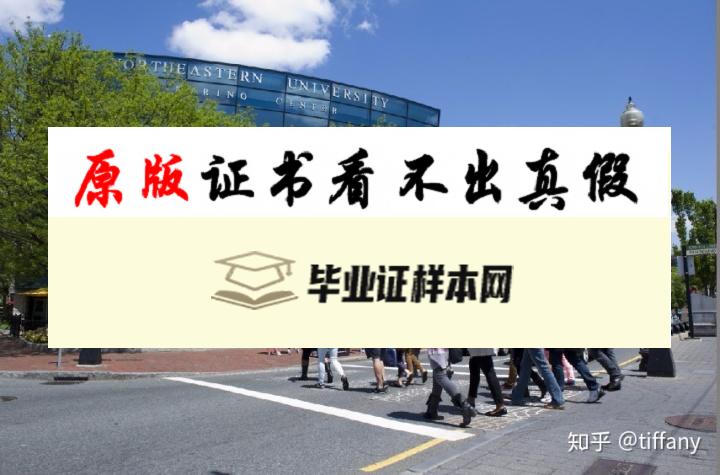 美国东北大学毕业证书模板