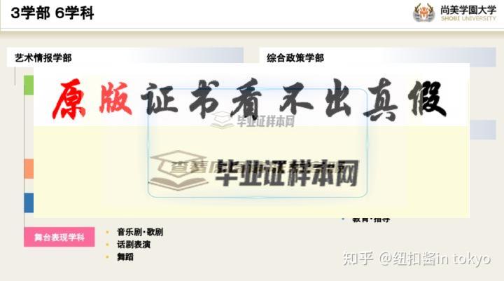 日本?尚美學園大學畢業證書模板
