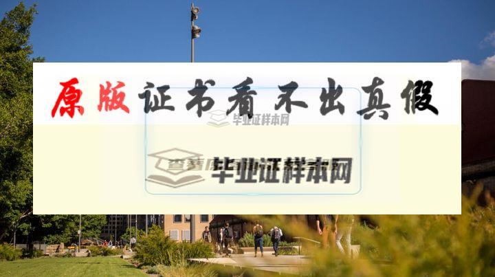 澳大利亞?悉尼科技大學成績單樣本