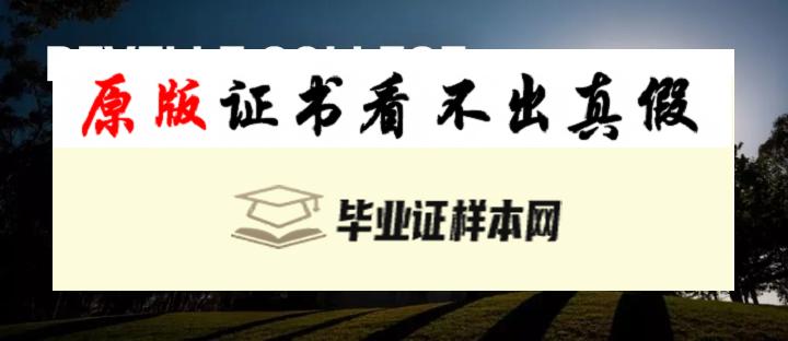 ​加州大学圣地亚哥分校毕业证书模板