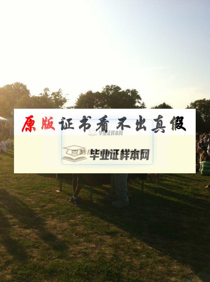 ?美國塔夫茨大學畢業證書模板