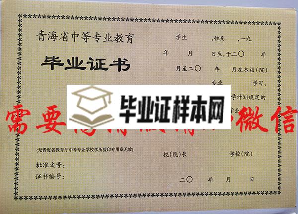 青海省2004年中专毕业证内芯