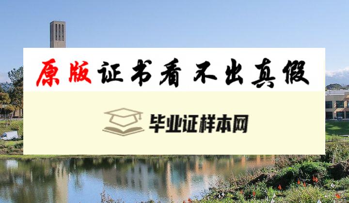 美国​加州大学洛杉矶分校毕业证书模板