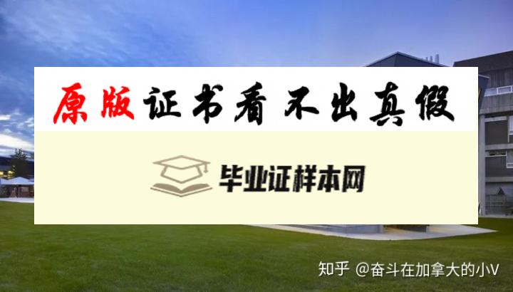 加拿大兰加拉学院毕业证书模板