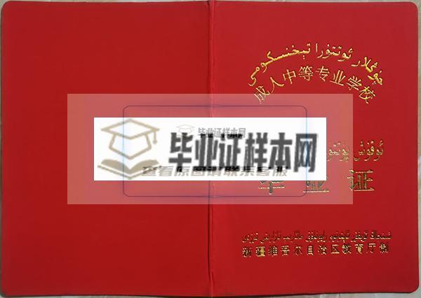 新疆成人中等专业学校毕业证封面