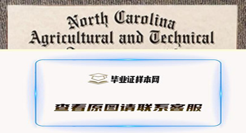 北卡罗来纳州 A&T 州立大学文凭