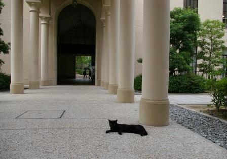 ​日本关西学院大学毕业证书模板