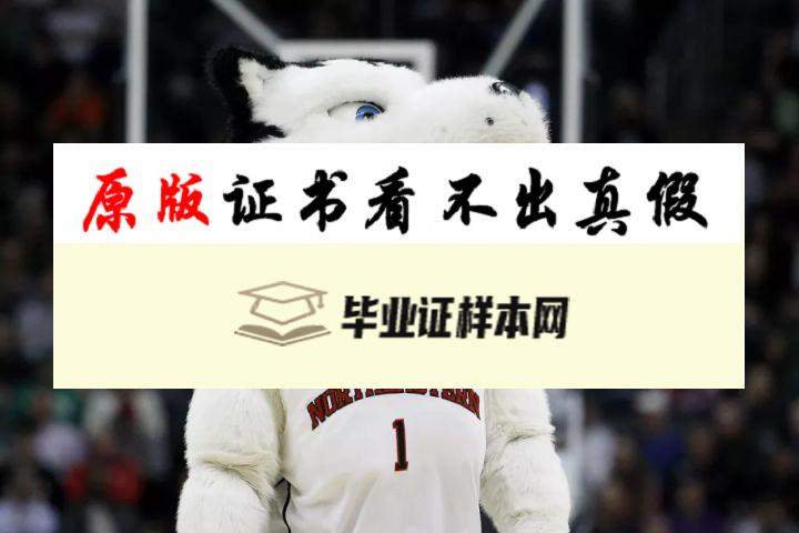 美国东北大学成绩单模板