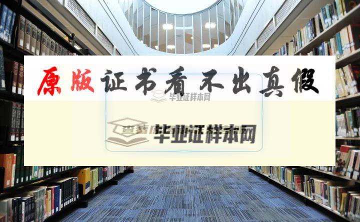 加拿大布魯克大學畢業證書模板