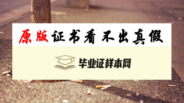 澳大利亚​悉尼科技大学成绩单样本