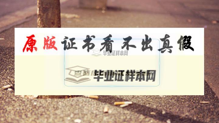 澳大利亞?悉尼科技大學成績單樣本