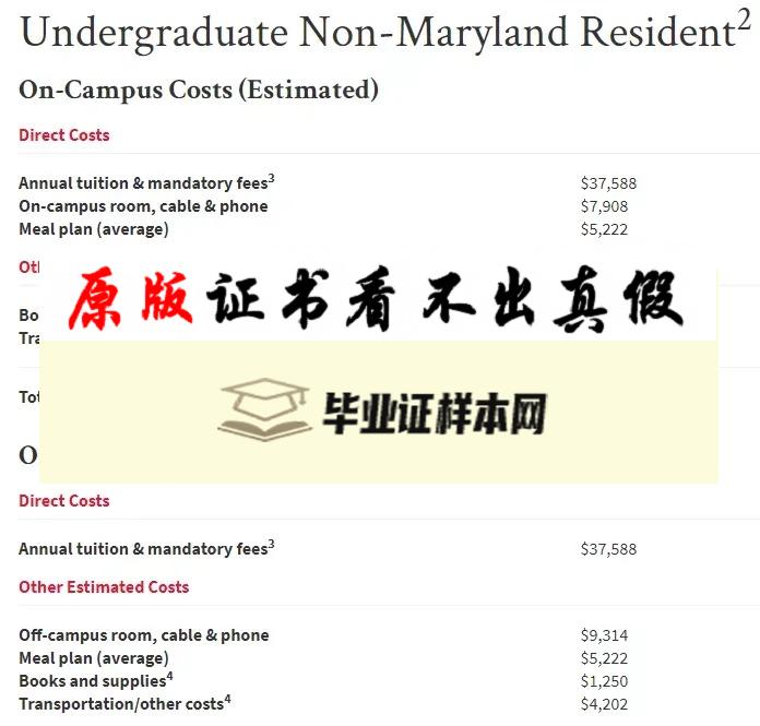 美国马里兰大学学院市分校毕业证书模板