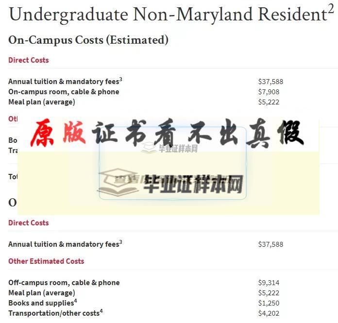 美国马里兰大学学院市分校毕业证书模板插图6